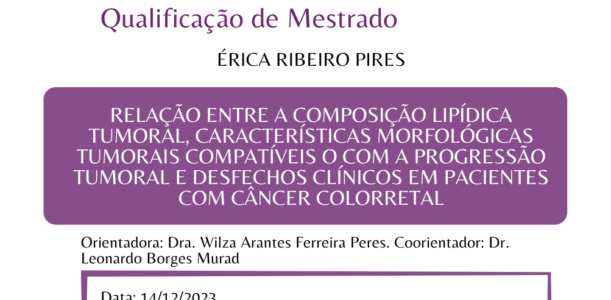 Convite qualificação Érica Ribeiro Pires (MA)